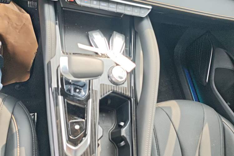 Used Geely Auto Monjaro L 2024 2.0TD DCT EVO Two-Wheel Drive Long-Range Version Gear Lever