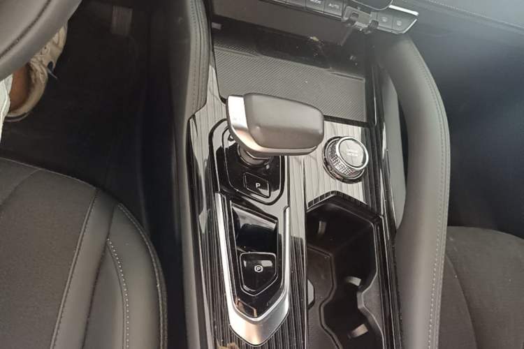 Used Geely Auto Monjaro L 2024 2.0TD High-Power Automatic Two-Wheel Drive Skyline Edition Gear Lever