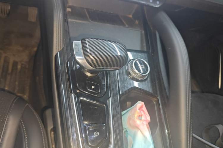Used Geely Auto Monjaro L 2024 2.0TD High-Power Automatic Two-Wheel Drive Skyline Edition Gear Lever