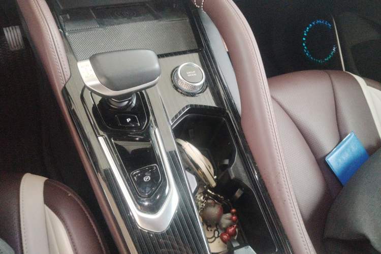 Used Geely Auto Monjaro L 2024 2.0TD High-Power Automatic Two-Wheel Drive Yunqi Version Gear Lever