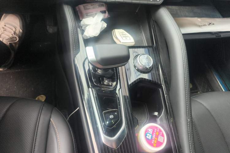 Used Geely Auto Monjaro L 2024 2.0TD DCT EVO Two-Wheel Drive Long-Range Version Gear Lever