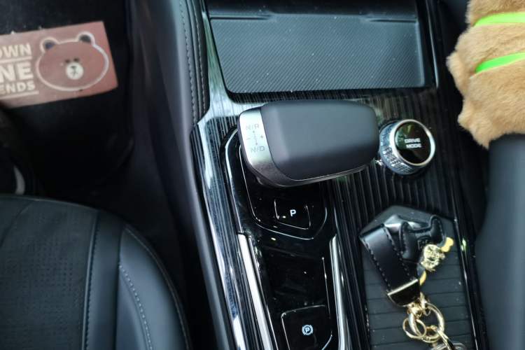 Used Geely Auto Monjaro L 2024 2.0TD High-Power Automatic Two-Wheel Drive Skyline Edition Gear Lever