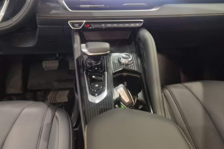 Used Geely Auto Monjaro L 2024 2.0TD DCT EVO Two-Wheel Drive Long-Range Version Gear Lever