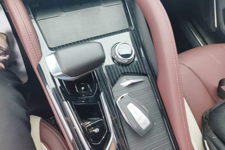 Used Geely Auto Monjaro L 2024 2.0TD High-Power Automatic Two-Wheel Drive Yunqi Version Gear Lever