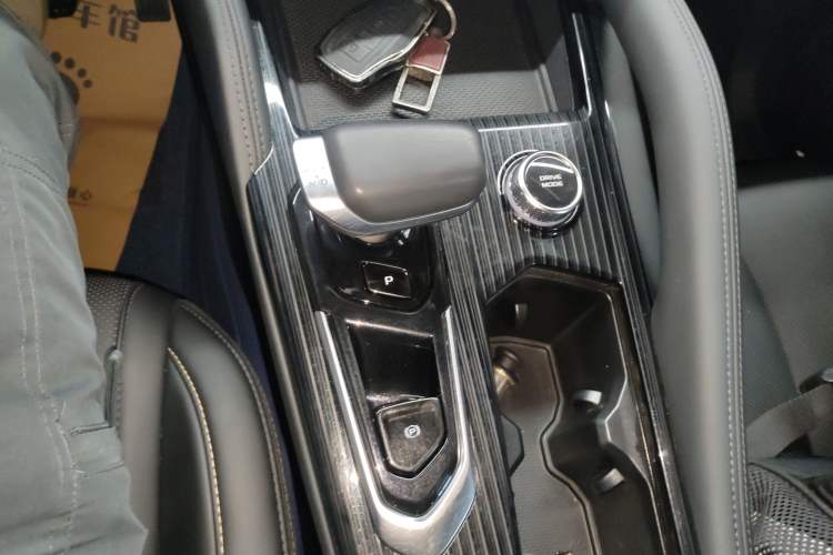 Used Geely Auto Monjaro L 2024 2.0TD DCT EVO Two-Wheel Drive Long-Range Version Gear Lever