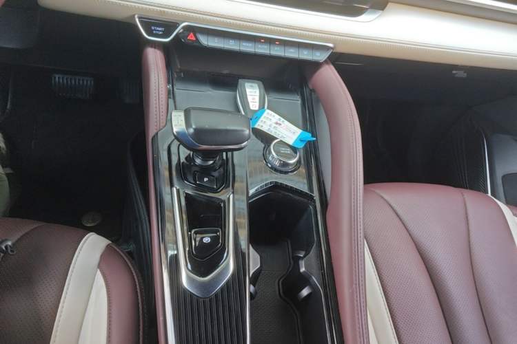 Used Geely Auto Monjaro L 2024 2.0TD High-Power Automatic Two-Wheel Drive Skyline Edition Gear Lever