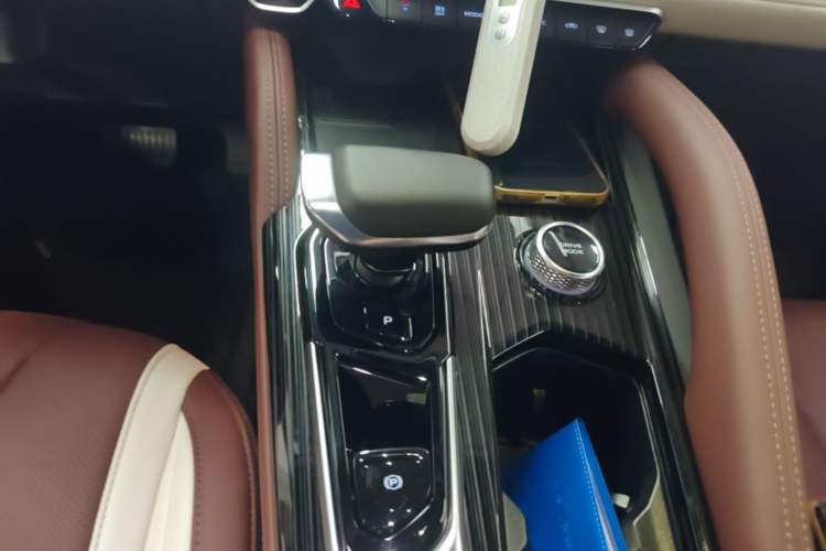 Used Geely Auto Monjaro L 2024 2.0TD High-Power Automatic Two-Wheel Drive Yunqi Version Gear Lever
