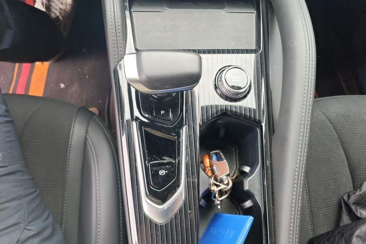 Used Geely Auto Monjaro L 2024 2.0TD High-Power Automatic Two-Wheel Drive Skyline Edition Gear Lever