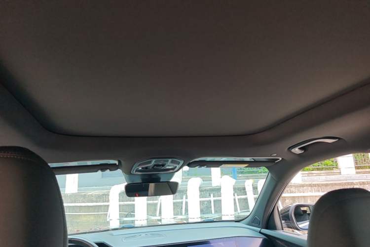 Used Geely Auto Monjaro L 2024 2.0TD DCT EVO Two-Wheel Drive Long-Range Version Headliner