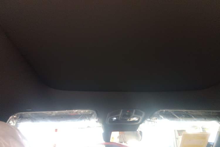 Used Geely Auto Monjaro L 2024 2.0TD DCT EVO Two-Wheel Drive Long-Range Version Headliner