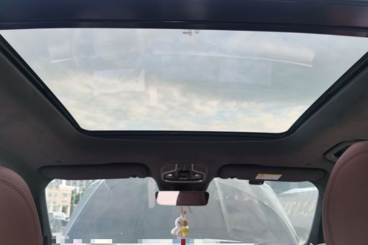 Used Geely Auto Monjaro L 2024 2.0TD High-Power Automatic Two-Wheel Drive Skyline Edition Headliner