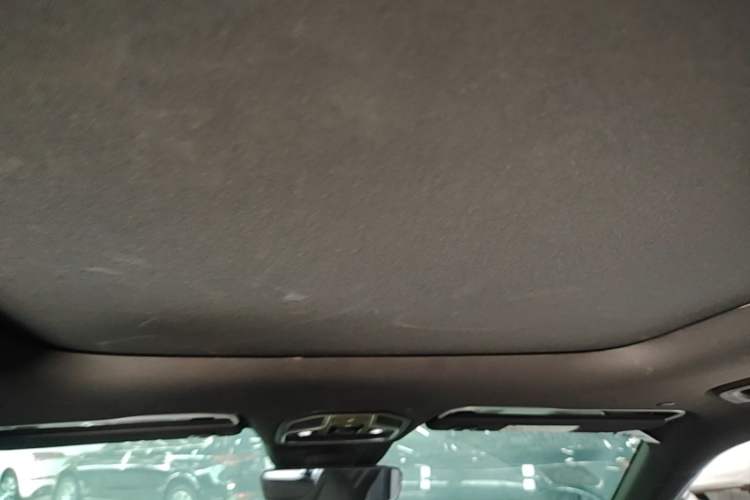 Used Geely Auto Monjaro L 2024 2.0TD DCT EVO Two-Wheel Drive Long-Range Version Headliner