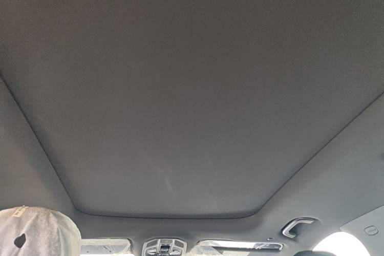 Used Geely Auto Monjaro L 2024 2.0TD DCT EVO Two-Wheel Drive Long-Range Version Headliner