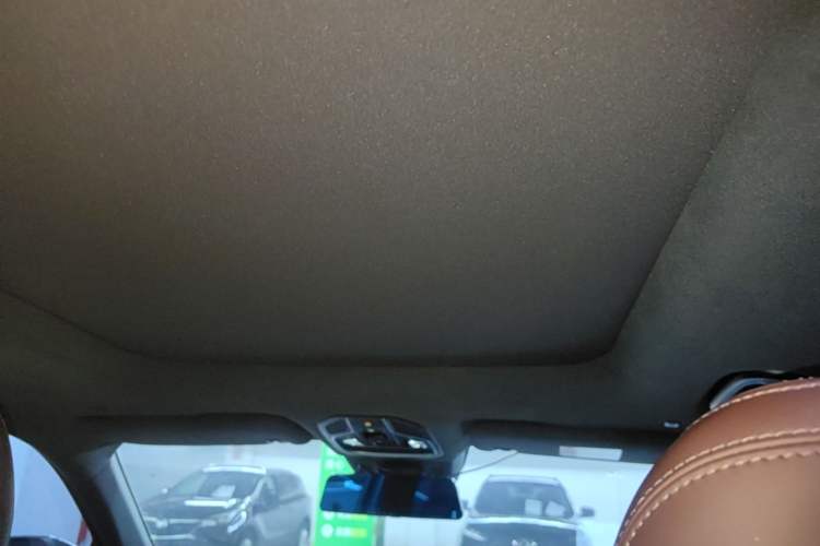 Used Geely Auto Monjaro L 2024 2.0TD High-Power Automatic Two-Wheel Drive Yunqi Version Headliner