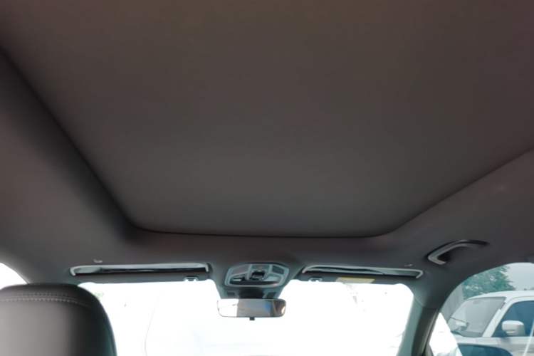 Used Geely Auto Monjaro L 2024 2.0TD DCT EVO Two-Wheel Drive Long-Range Version Headliner