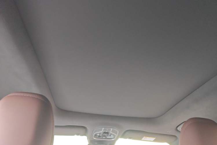 Used Geely Auto Monjaro L 2024 2.0TD High-Power Automatic Two-Wheel Drive Skyline Edition Headliner