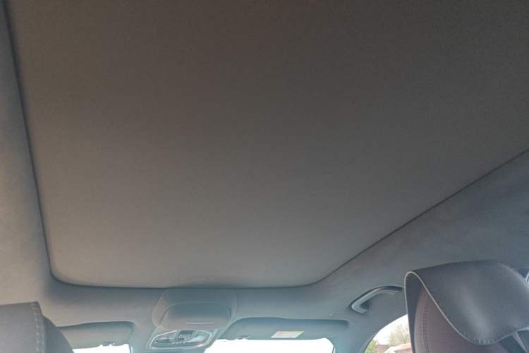 Used Geely Auto Monjaro L 2024 2.0TD High-Power Automatic Two-Wheel Drive Yunqi Version Headliner