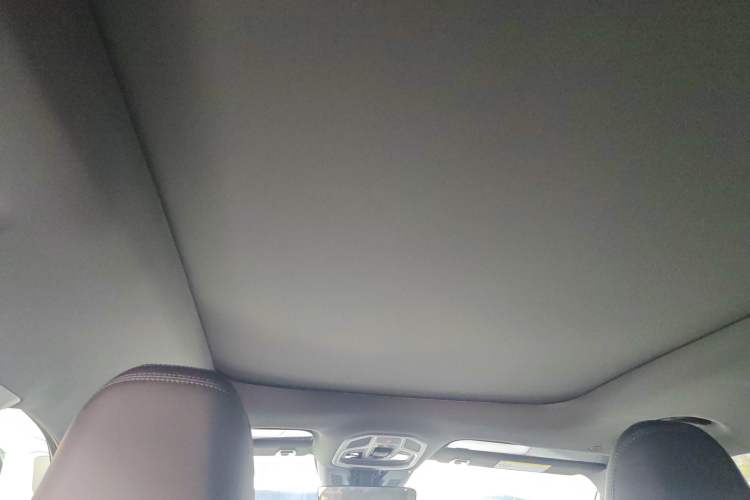 Used Geely Auto Monjaro L 2024 2.0TD DCT EVO Two-Wheel Drive Long-Range Version Headliner