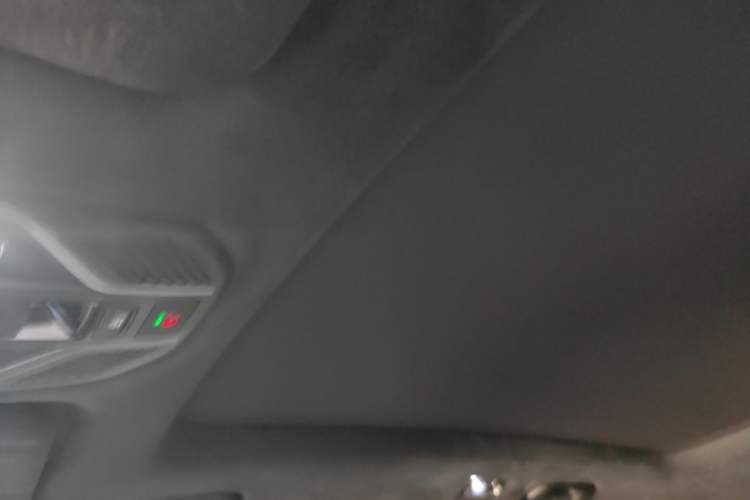 Used Geely Auto Monjaro L 2024 2.0TD High-Power Automatic Two-Wheel Drive Skyline Edition Headliner