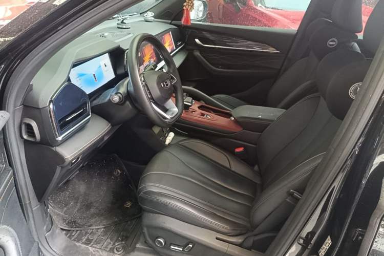 Used Geely Auto Monjaro L 2024 2.0TD DCT EVO Two-Wheel Drive Long-Range Version Left Front Seat