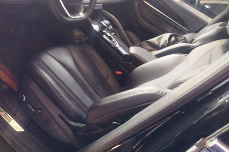 Used Geely Auto Monjaro L 2024 2.0TD DCT EVO Two-Wheel Drive Long-Range Version Left Front Seat