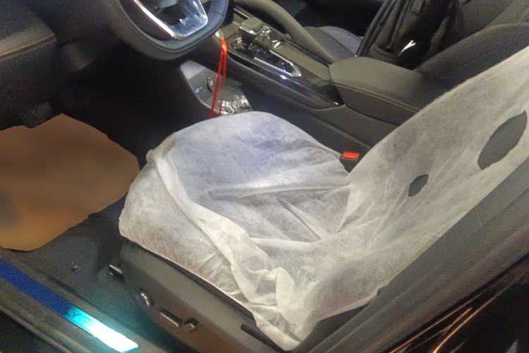 Used Geely Auto Monjaro L 2024 2.0TD DCT EVO Two-Wheel Drive Long-Range Version Left Front Seat