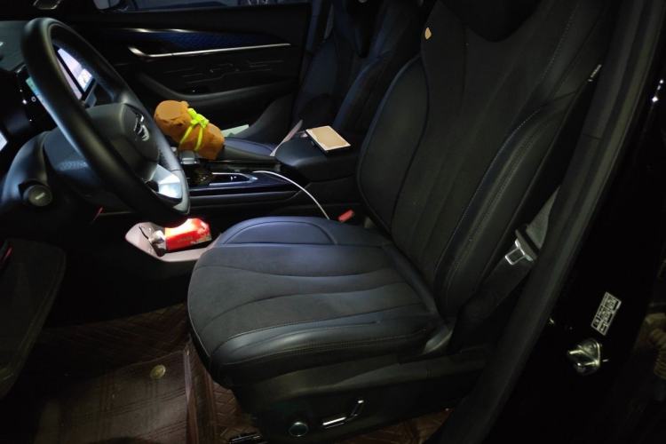Used Geely Auto Monjaro L 2024 2.0TD High-Power Automatic Two-Wheel Drive Skyline Edition Left Front Seat