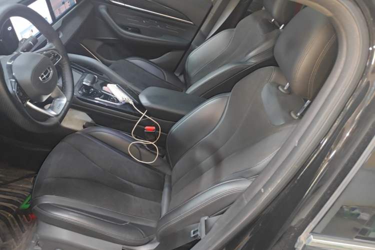 Used Geely Auto Monjaro L 2024 2.0TD High-Power Automatic Two-Wheel Drive Skyline Edition Left Front Seat