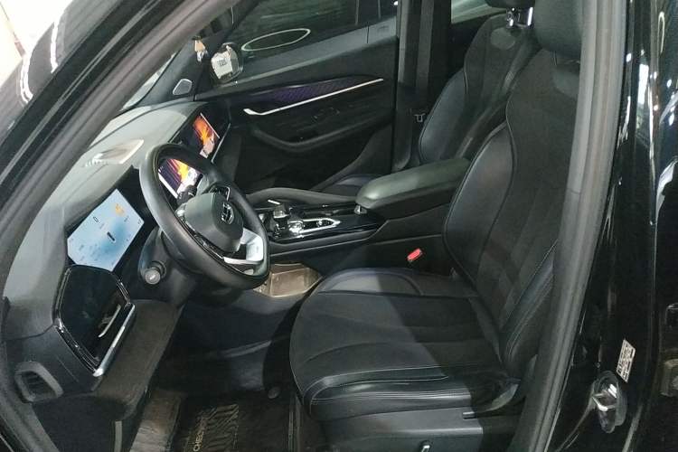 Used Geely Auto Monjaro L 2024 2.0TD High-Power Automatic Two-Wheel Drive Skyline Edition Left Front Seat