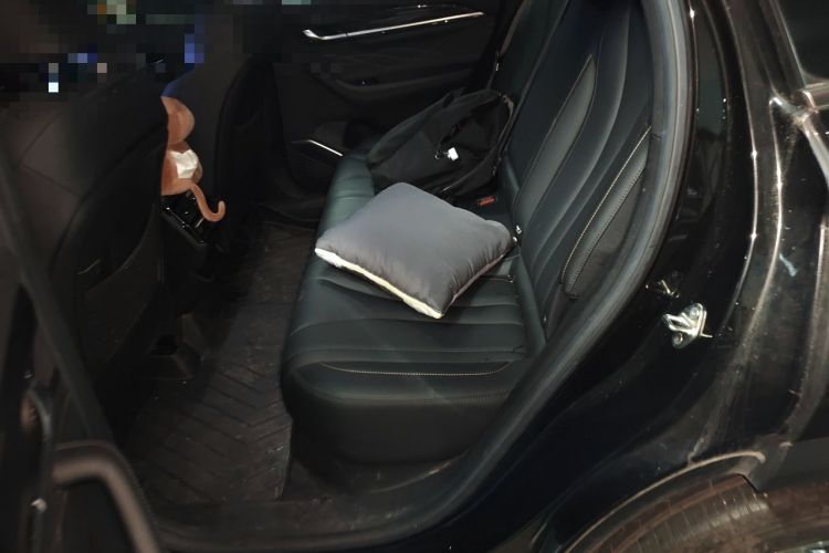 Used Geely Auto Monjaro L 2024 2.0TD DCT EVO Two-Wheel Drive Long-Range Version Left Rear Seat