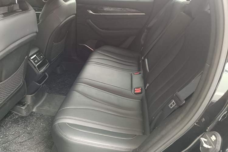 Used Geely Auto Monjaro L 2024 2.0TD DCT EVO Two-Wheel Drive Long-Range Version Left Rear Seat