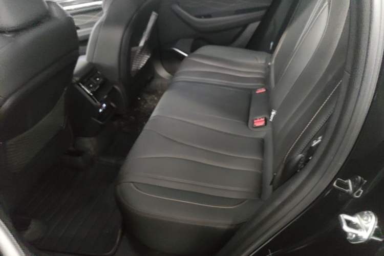 Used Geely Auto Monjaro L 2024 2.0TD DCT EVO Two-Wheel Drive Long-Range Version Left Rear Seat