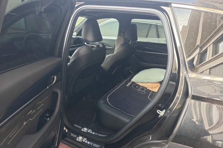 Used Geely Auto Monjaro L 2024 2.0TD High-Power Automatic Two-Wheel Drive Skyline Edition Left Rear Seat