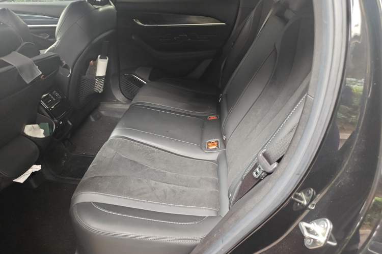 Used Geely Auto Monjaro L 2024 2.0TD High-Power Automatic Two-Wheel Drive Skyline Edition Left Rear Seat