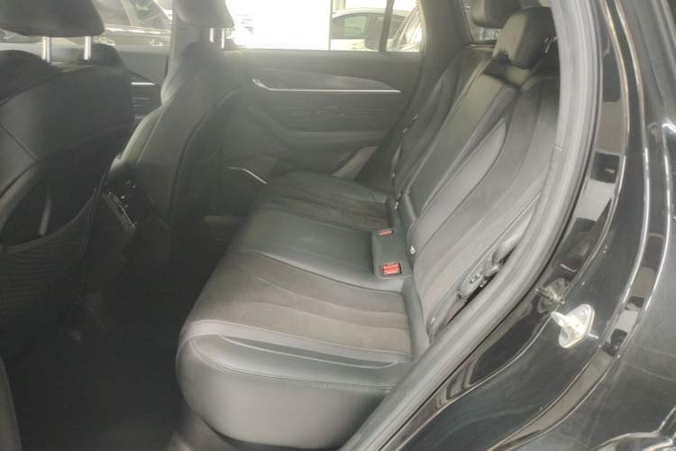 Used Geely Auto Monjaro L 2024 2.0TD High-Power Automatic Two-Wheel Drive Skyline Edition Left Rear Seat