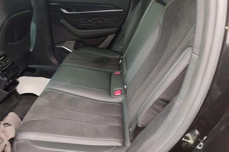 Used Geely Auto Monjaro L 2024 2.0TD High-Power Automatic Two-Wheel Drive Skyline Edition Left Rear Seat