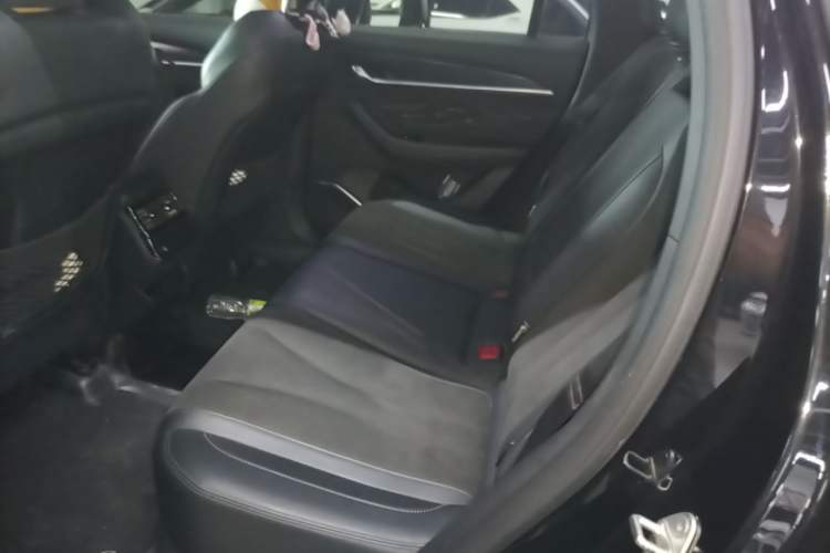 Used Geely Auto Monjaro L 2024 2.0TD High-Power Automatic Two-Wheel Drive Skyline Edition Left Rear Seat