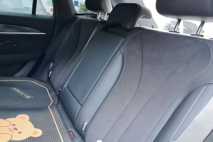 Used Geely Auto Monjaro L 2024 2.0TD High-Power Automatic Two-Wheel Drive Skyline Edition Left Rear Seat