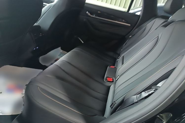 Used Geely Auto Monjaro L 2024 2.0TD DCT EVO Two-Wheel Drive Long-Range Version Left Rear Seat