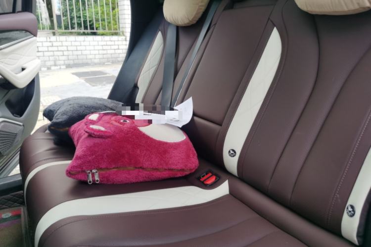 Used Geely Auto Monjaro L 2024 2.0TD High-Power Automatic Two-Wheel Drive Skyline Edition Left Rear Seat
