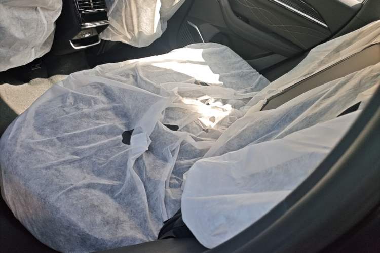 Used Geely Auto Monjaro L 2024 2.0TD DCT EVO Two-Wheel Drive Long-Range Version Left Rear Seat