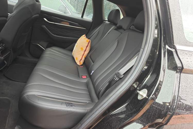 Used Geely Auto Monjaro L 2024 2.0TD DCT EVO Two-Wheel Drive Long-Range Version Left Rear Seat