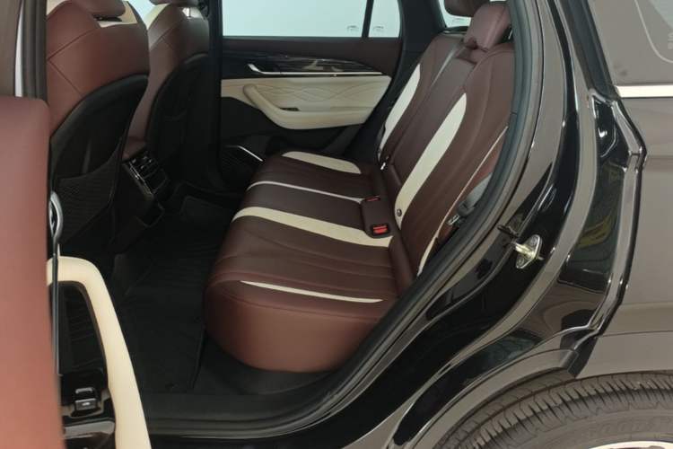 Used Geely Auto Monjaro L 2024 2.0TD High-Power Automatic Two-Wheel Drive Yunqi Version Left Rear Seat