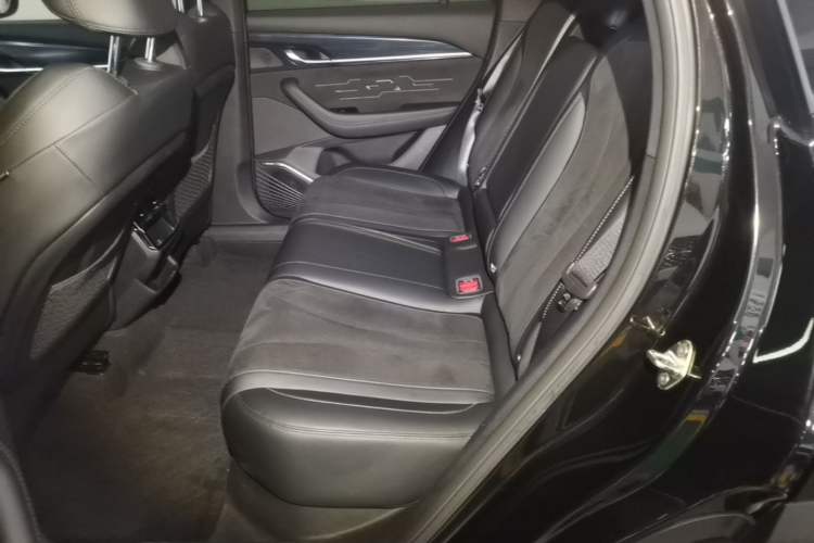 Used Geely Auto Monjaro L 2024 2.0TD High-Power Automatic Two-Wheel Drive Skyline Edition Left Rear Seat