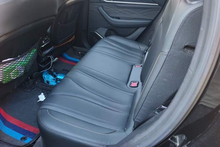 Used Geely Auto Monjaro L 2024 2.0TD DCT EVO Two-Wheel Drive Long-Range Version Left Rear Seat