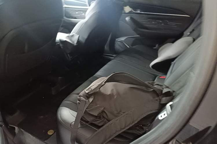 Used Geely Auto Monjaro L 2024 2.0TD High-Power Automatic Two-Wheel Drive Skyline Edition Left Rear Seat