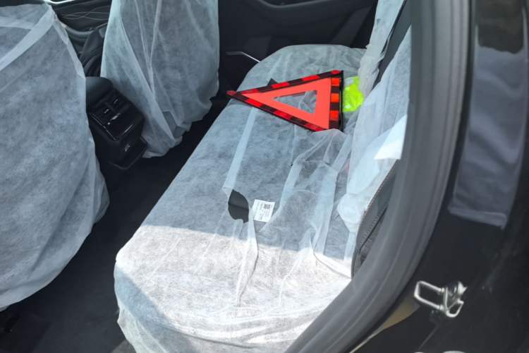 Used Geely Auto Monjaro L 2024 2.0TD DCT EVO Two-Wheel Drive Long-Range Version Left Rear Seat