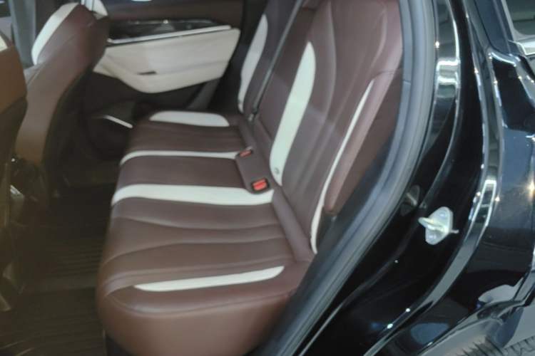 Used Geely Auto Monjaro L 2024 2.0TD High-Power Automatic Two-Wheel Drive Yunqi Version Left Rear Seat