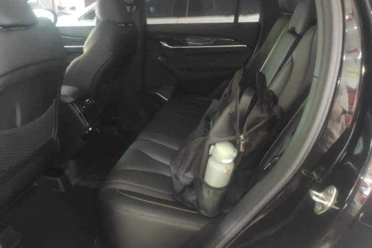 Used Geely Auto Monjaro L 2024 2.0TD DCT EVO Two-Wheel Drive Long-Range Version Left Rear Seat