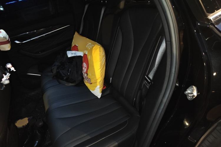 Used Geely Auto Monjaro L 2024 2.0TD DCT EVO Two-Wheel Drive Long-Range Version Left Rear Seat